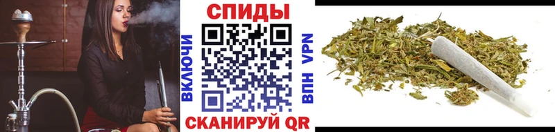 Бутират буратино  Берёзовка 