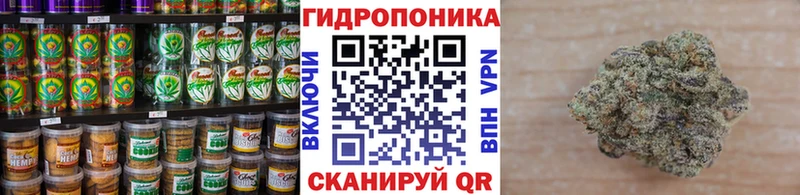 наркошоп Берёзовка Canna-Cookies конопля