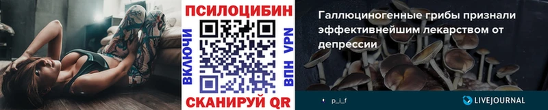 darknet официальный сайт  Берёзовка  Псилоцибиновые грибы Cubensis 